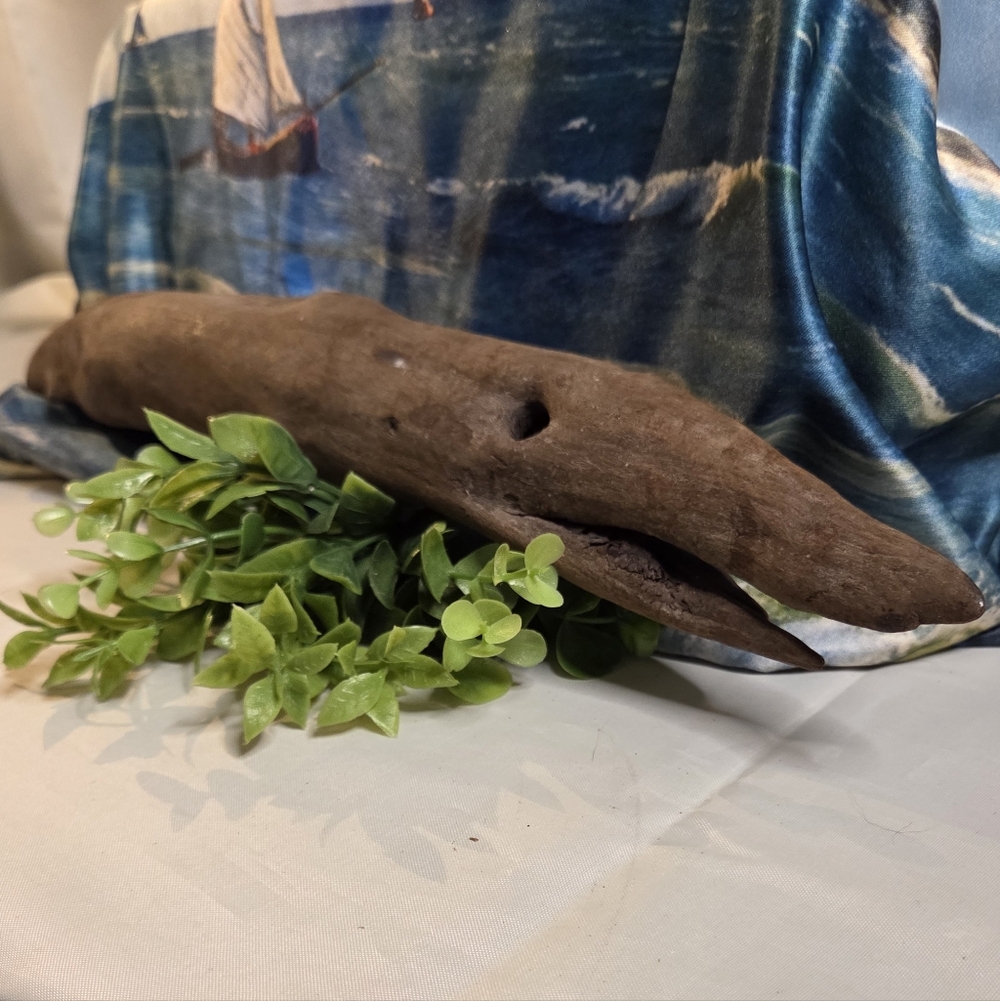One Of A Kind - Found by the Sea 🌊 Natural Driftwood Sculpture-
